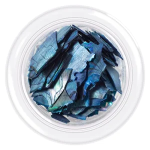 Conchas Pérolas para unhas Shells Style #5, 3g